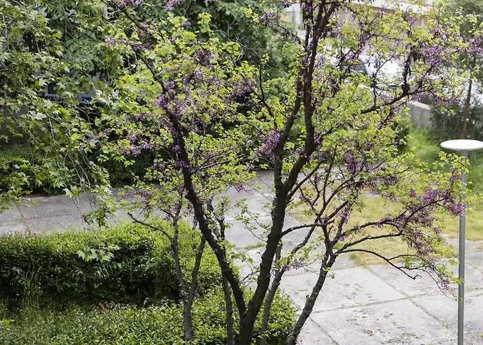 Apartament Alan *