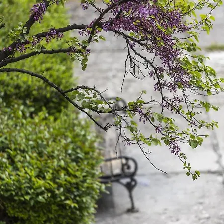 Apartament Alan Zadar